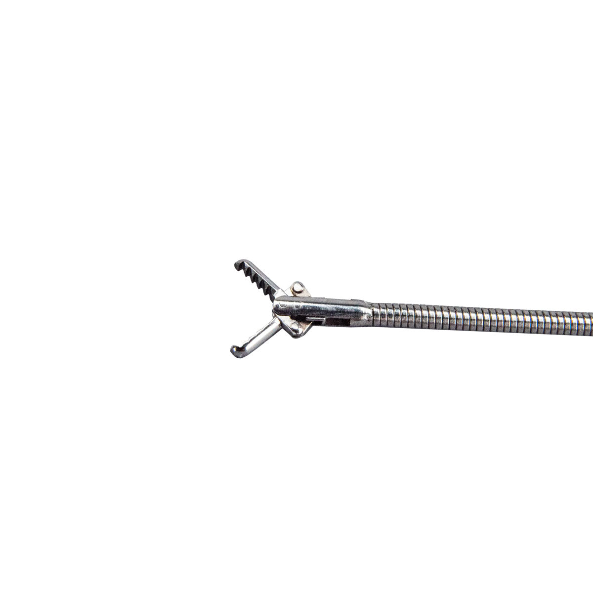 Alligator Grasping Forceps