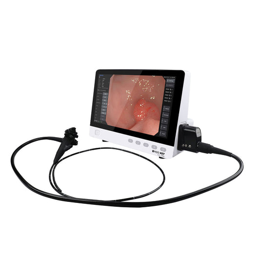 HD Video Endoscope System (with OR-160)